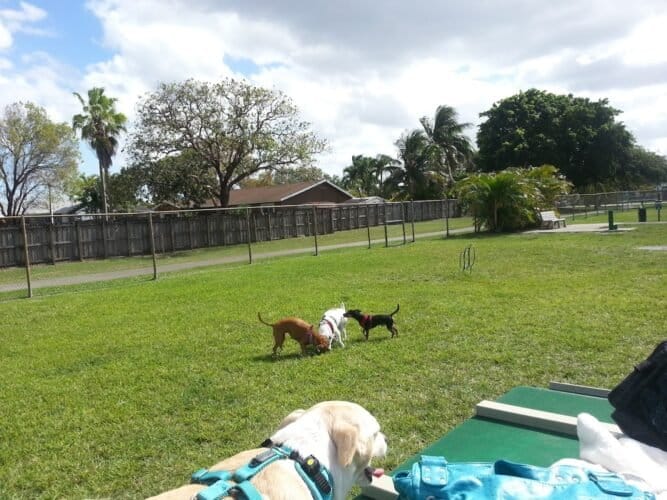 AC9h4npnmT4gxUg0EwwSZe5mCb7BQlBxZiyT50sDnS4tW1UoHlIfhJWsXqo9Tn6AytGrTE1quFUiG9wqcJ7Jopyqf4LNWvpHQpF7zkixFxjNW acF6QTt2lTWPo0L ynvceicKcKXN6aw1600 h1000 k no