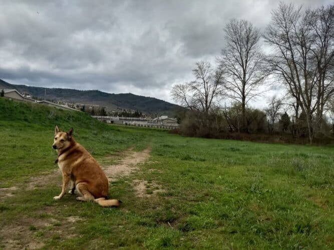 AC9h4npnqmj1J7sdvAtkUwWsTP2ihaWltZ uovxaf6sLjBigLlUPHsI4FDjJBfq37XhMjaONsmGWXEbK5O1FfxT1J1mBpR9XfbA2wQ1GqUqtb77JuTgEN8ibJWQhvuX71P0f9SgyDq9Pw1600 h1000 k no