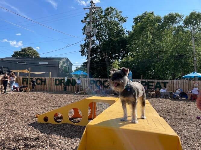 AC9h4npnvMDc0znzLNTOimEfSDEMShwgkRO UQ13J5bj8ynIcdIqEmo6h0DJRiyPkOGeWvepkvQ6h8QJm xJDWW7c2tH5 NUmr8yTVuQ5WZBVK1Y W6xYWLcWkXq6gt88DKDExvs0lMUw1600 h1000 k no