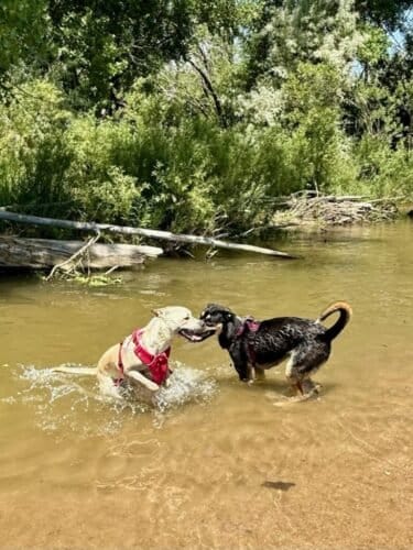 AC9h4npo4dvbck0Oc wJey MVbIurMcvTAROz1u9ZPHks1rqQrtvkPu3lGjY s9S69d X 7dCJl0Kj0b4FK5UMq14XNIvQ289qFkcjUIQrP5lIZ1iXj4n9Hvbzng46tMlb3nHqHdUUaZYPPlWgfNw1600 h1000 k no