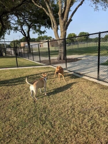 AC9h4npoCB1wHxnGJtuuNJEsCC6FKKa reF8zqmI27n4CDeHcqWhnMBnblM9 XEzO7r5Q81JuhJCFMOc1sB m5Tq4 AXN3296Y0j0hrZ5vKSABNHPEggCMUxe VLFaPMclVvsZR4AIPtw1600 h1000 k no