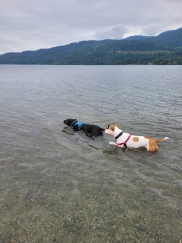 AC9h4npoIG4RZh91vAnvmATMbFIn33qmdRKs7u3 Urmd2GN7q67flTwd0Re8v5bRucML6Y8CP7mHTIQCmt6YeYxtAPkw2J6QWrZdRwerfPMw1600 h1000 k no