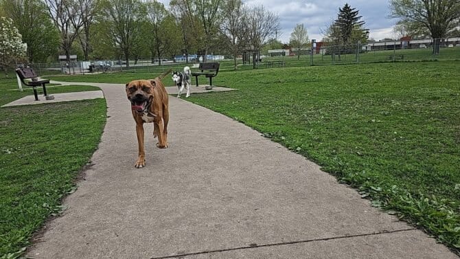 AC9h4npoIJRHhhK2xcXVR24OJZvgHceZH31yZYYqaPrt1UBuSHxxut9eYTHPa7K0Ktb3KlEZog RUkRk7Xf5ZjORmBcz775jQrN2 Plax1OouUnjc5S4hbJspGwKYOgVuSI2hwtzH V w1600 h1000 k no