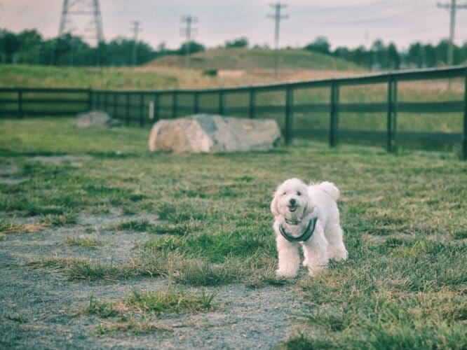 AC9h4npoLJLLa60FmGKD2I8HWdTL2OuxAdaSuFalwzA3j6hYLyXziykUszYkWF Op4tqCIm1 xsVGiC74pauNwWg8Da51sW4o LoE3O0AhmFSuBA2usEcHt dfclkkoZd9X8QksbEFEw1600 h1000 k no