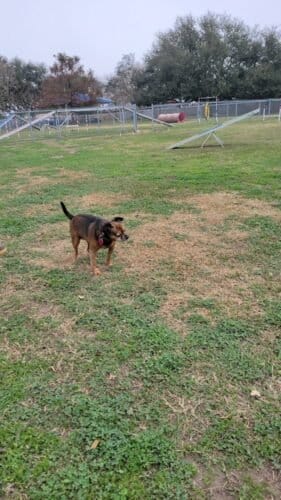 AC9h4npoPgu4PXMdLcoksJoom2e0HDJpG19XfiK5rcuZouM4cxc2WWo9N blq4O0Gyt7DemqVBZWEPB ZU7qYpL2 YxB33LNqqTGND5r H01jJPNCt7bXuPXPGrcbDike0q83Uh1QR0Pw1600 h1000 k no