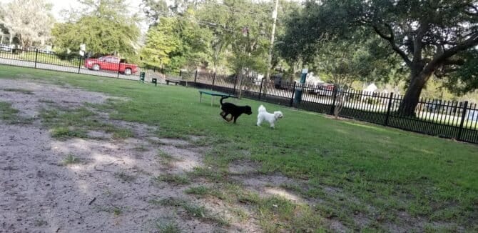 AC9h4npoZnktfelp06XoqpfEhcjuv C0wF18tdBMvTQWyCAGhel p5f0 sngfzSvngY6 OQYiLFZrUc2VuLp4SWGzJ8CEdqh8Xj2fRrJnkA1Ewr9 fWZEA5WlU2XLz6i4uLDPiesG5ZdTgw1600 h1000 k no