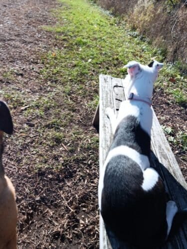 AC9h4npocCviRHTj BiC QkWRXPz0Dj7OgPM5pahWEvFzpn7178iqG3LN78D 9gWPTg3lnOkr4mqLQcOZub42qeNk8ElCQzgjpAYWd0lrMiE8bv8o3pE60G5nkiPIVG7IEhDf  NViCf4ww1600 h1000 k no