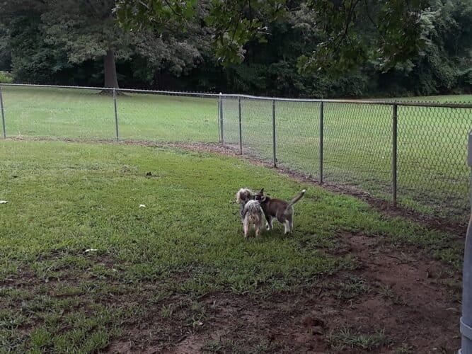 AC9h4npol0jeYUeLLHTMPwWWBDksBNOQmN1p6yJa Yt2NrLui0NBEpcpeE3UOeInhdy7ZCt0P154iChwMhSpdUft16UYKCAuI0O9agJ 19f6UsuI5DSSlFQeseKh2DUOZaWMJZDaDq16CAw1600 h1000 k no