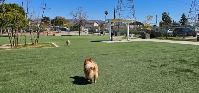 AC9h4npoxsh3ZRM4BXAqPfYjPfiRXImMlsa4ATu379jl5puO8bB9JmUJx0EKngmJUs4CMGHIwRa4FEGtzcDoLUxOnlMobtAyB8SpCMsuk7jde mCEcNLNMimg9i6Lc7kqo0syAIAQN3P9YlI4v5qw1600 h1000 k no