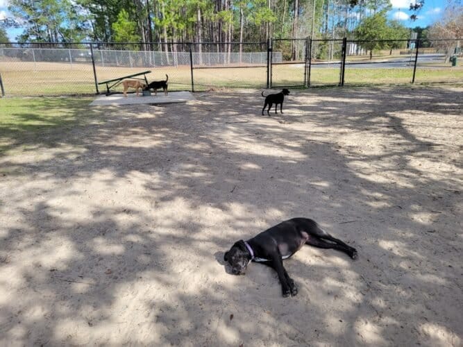 AC9h4nppDsVyuE VuPboGwrfnG xATEvl9tG4swTBPhkyDP1cbckR2T3FLyuw6UH3q6ZA Ko Is bOO6sJhzSgwlDgExcgvQKbiUKiUbKxLkAVnw7oRjbxNEIiK8AMgOrzPjWn5RAQMsw1600 h1000 k no