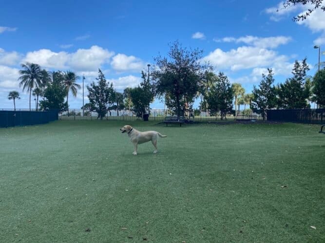 AC9h4nppFvd 1Ygs35 BdpUZ5oIFL4EUkKFHMIU5ct4UnRfhoZsvIx5CDnAugtUz v3thMEutANIhBo1b0Mreqwx4X42hmpz0mm0ZQGfRWVwSzuCG A03XlZVzvRO0IJGyzbTR4gfix3w1600 h1000 k no