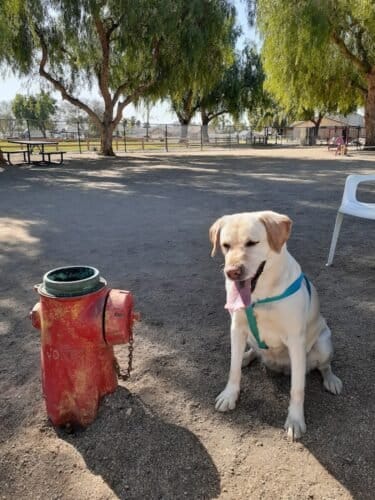 AC9h4nppG338276R1O66401 lYgPlgCvjm1XAFgoKRbPMib48f9q0c2wPlkoBJ vpwoZkM Yox9D T7QZCmwt7Tz ZTEz0w1Nfe4 TUVW4TPpqdsaHDZOqATOSrZSMCrk7OG6 Mkrm6ongw1600 h1000 k no