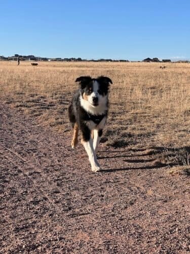 AC9h4nppLraqQ7Ta8fkhZWb0t5QLgHrwSkqdYoXwbYCrTZthjisnHeTLF58dwVDpSDNwfnA9zfuplYk5DGC pvoL 4GzmInhrMwoLbXeOG49ks7JsoNHDPF plvTeG PSuj YTkztPMVw1600 h1000 k no