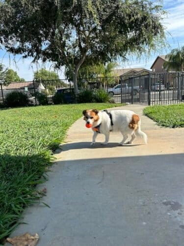 AC9h4nppP5W8y2T6n ATjZuOLx7 rISCIEK9Hn4GFDJmgiCHUUF4ocAccMCXzKewtNy79b yfSA3dzKSxfNCF6br yhgfA4JboQqvsGaQmlVw FaWYUgyAEkCmo2 GEdlombvANgu3ww1600 h1000 k no