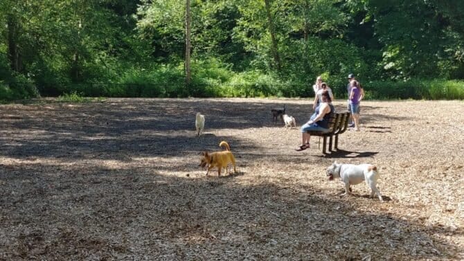 AC9h4nppPKnD9GN497mYXmO0NHwdgIW 4MFVM7bsmB9vROD9ONctIxQYk6Ycfd1YPJOVJ06u0C08QLB5eeIk47NXCI9G8gOq7ihE578GmE7iwJxk 1anrSUEBDWdWTL5jvPTa692GRcTw1600 h1000 k no