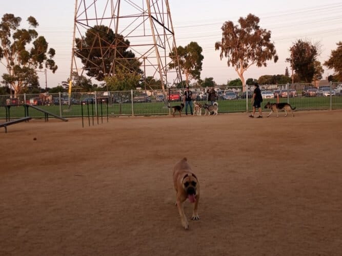 AC9h4nppS4zmtjSapWypBCcuonKSxxADeE1RJhiWCbD9MnaXoreJI990jy8JxZSm hm53mSTGCRVQtDk 1zdFINdUc5fxn942Ucwe0pSVlhrIRsKh2OZKNXfNPgn jDvH8gMNR0 e49w1600 h1000 k no