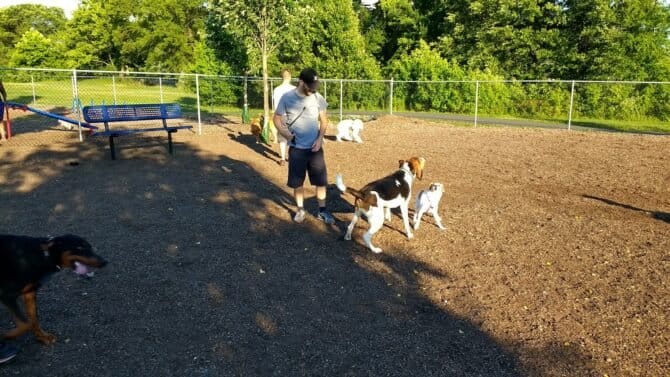 AC9h4nppSojfnadiVpPH7hADmaUYRqIO7VH4SgyKPn1QLk8Kr1TxsfrqdNoMw3NwgP6XjiIyPGnrce8kDw1QxSV54aiSWloEHviAq3mSwb1TLoMLfh6QvoQOiPIg19eEdXmRJ6zwmrSUw1600 h1000 k no