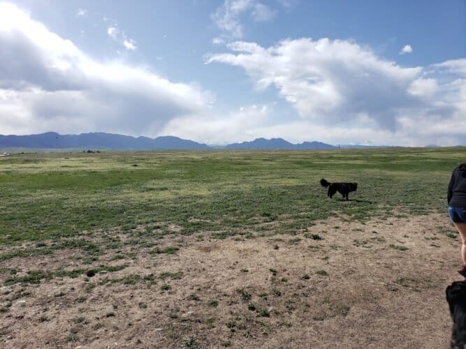 AC9h4nppTRsTB67wLboIa U0 cC0AcKAfy6xDQibE2KnNWNeoXL63uOUO6dFdKigioPkNyp 5zPMEgrMrRiAFYL GFPz2ElG6b5FQj6QyXXDuOdwzIhmieN1A xAaJxxRSZKUVBeck2Zw1600 h1000 k no