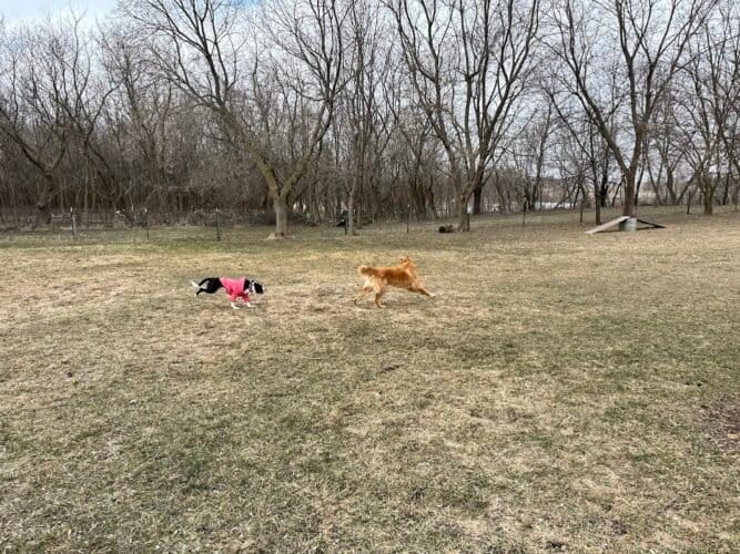 AC9h4nppi94RxuQFY9DE85 wjdw2m6iKqGsJiZ UuKVyvsKsVtkqJ5dZsGNyQqPPpSG7XumLgs qpovrnIyrytZVhIyTVJN4zmth8j56wooVgy1lSLB2PMjSuszf2CI 5J288IdjKTd3w1600 h1000 k no