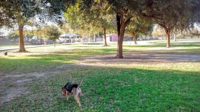 AC9h4nppuUCWWJHqzNl6yxacdtxIeBi3aLXOMkJg2FSfzCWyK0RfxlGbM3J eQdbbky1SoOxlyUkv2zePFFAJdV26rJa mspdpQNh8aXibM4T9dQ33ffSWhLh97TxIgGK3U2nwxMoSAKAw1600 h1000 k no