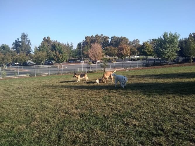 AC9h4npqFHVLhvVnuJidhlmDfOxFv6mArQUnxcga3IeFiI qGyF3vev9jWe2oPv3sRl9BYy3kZsDWqEjMd5cJHit229ydVsefomyE 431wdMXDSvLo9Ip8UDh0lZriSy p6ZPOmgFbmWw1600 h1000 k no