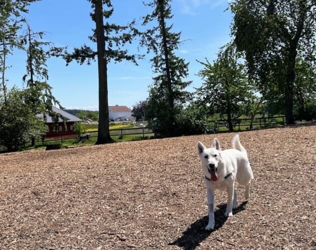 AC9h4npqrPUVvWOOBrRcNMtEecaLtEByoFSRc3buJPZzRWUJfslwDgv0xqp55W xT4scFwhOeGM4c VDzo0M2p8RziFbgBN0nXvL0oJYjs8IsuiXfPXOSiO5bMfrDhi604yewTR1gp5qhAw1600 h1000 k no