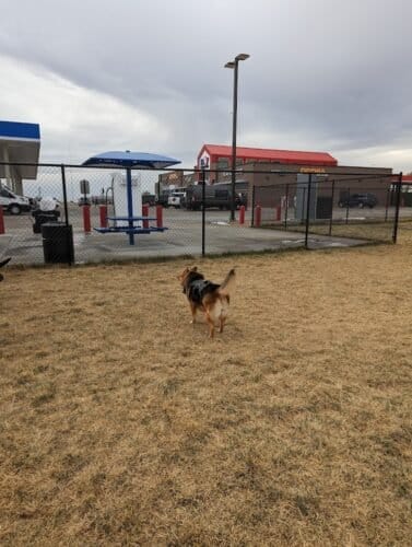 AC9h4npr03B8EhfViWotQKUFuCC3HL k9Ko0DxwP5eAzEP73V8BNzVTVlWjQNYVm1JsmhS DxWzm4GuVyEVfbnCFvKQ4JBm8N3f0FAvQ9KMbFAO8omj6EjPxouxVry5XUWDDRsRQ2QE4Aww1600 h1000 k no