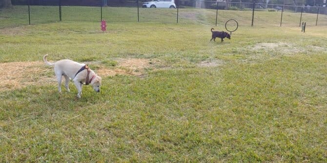 AC9h4nprA7EzPFwl8Aj5LVO3aaA9DTctHzib1VV Nn snIx9QiTtLe92otbcHri 0WUgupxS6G1HaXxWpqxWw2XbovQVY QPezs3v2WYopC4MaG7HXGS99yTBo4GEO0aqCsEkI5na47UHww1600 h1000 k no