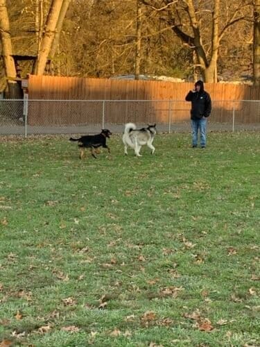 AC9h4nprAkXCeF9xFNDOLCBfM6rJkbza1enHbDpAHawWCUNOnvTMKMoOpO4M7EJnlZKIy D8vzQWVYXWmCBs7Y1a cL0vZxe7PCRMUaPCwDQKNXuSdYDbME JePmTK2i dDKzSWmAyRlw1600 h1000 k no