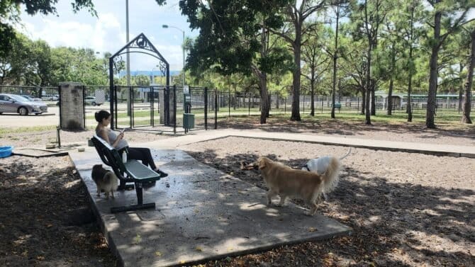 AC9h4nprDyz KiHiU GcmmrlfAX7NpOmTc0W7svsBf5a6kJhfISlg1QMdq3yxnSJWNYGxGXMFd6HSIKCXlUO8BY2oRyG1i22Fz Tiekuruow1600 h1000 k no