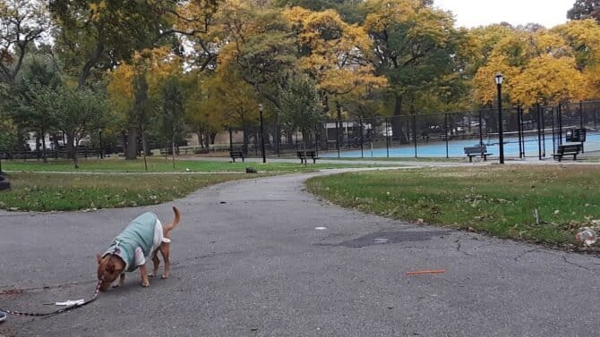 AC9h4nprF1YIZp4z2E1deK9m jZWaAPa8rzoCMqxd9Rr2lkcwW30kvw1SOA3HYnKispeUUvYcYNJtu84YNZ ksqa d3ce 5KKyKqCsRHKLu75zUWKv2n60S2brNPACTJA8UMA1f9So9c7ww1600 h1000 k no