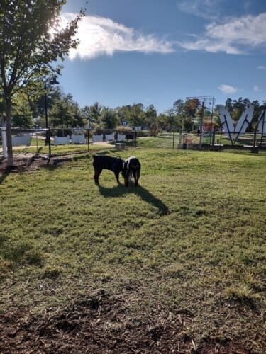 AC9h4nprMVQQGbogPYOW npB64b8plndoDyy9C6309UBuRTmAFxQU7idnU5JDDZFj5IYb936L3M2eauKzyL sjq4DK fX8Nuv2ZlSImMJ Xr73EuPL5HBZ4vc7lg2GwrZtLSP12WFK Cvgw1600 h1000 k no