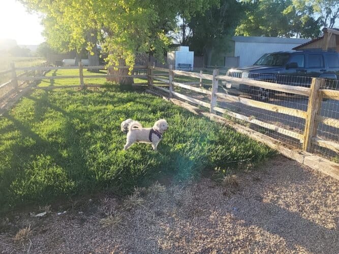 AC9h4nprNk  V6s 7lFp2tzN iQoUoUljAsKSDfcjiEjVFtn Z1MsPZLdyz0ZVxxjANXfy7579NlYakYjpRUWzSO2gXN4jqHGFdNsCnm9 lNJb PL4j28QC0 5V4NL kTg0MDRD2wMJhz8VXEO5tw1600 h1000 k no