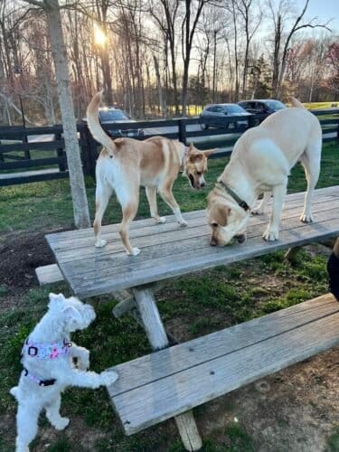 AC9h4nprZKgreCWyy1WGTakPs m8SbZmwNofC7som0gZmRApScGhG5tXABQmIglQ6yA9OIq0hqFaUQZ05IjRQ 3HUvlV9auUGPIfghju3g9XT0lAzfZ0ILdzKK92ymU5fXcowytIuecmw1600 h1000 k no