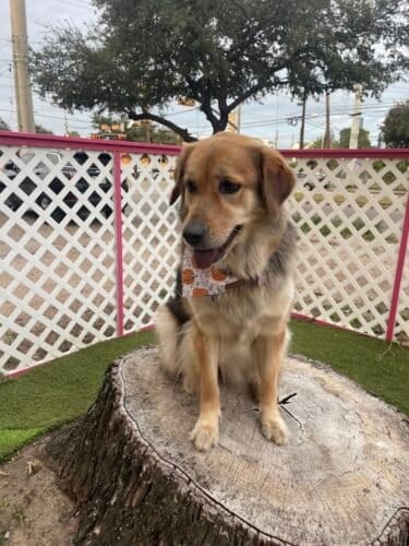 AC9h4nprbJSX hCTmr46EhUjmgmL5HQqIZOoQTA8i17gfvOVm 6Q mxBTDZ mZk0op 0YeqeUlM LmSRcC35cD6T5h9lJyv260a5BUNnHAw1600 h1000 k no