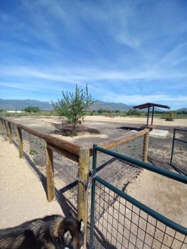 AC9h4nprc1Y80xEs kClEJfIwCewVPcXHglQaCQhNjMpbJdHh6SaV0UGoWIMvl5JPVmAt97EissHMnJX9a7g7Ac62 BMDYMbScftbm9xL3bPB asxYct3hd2Eu3316YlFpA5uxJgM5Iw1600 h1000 k no