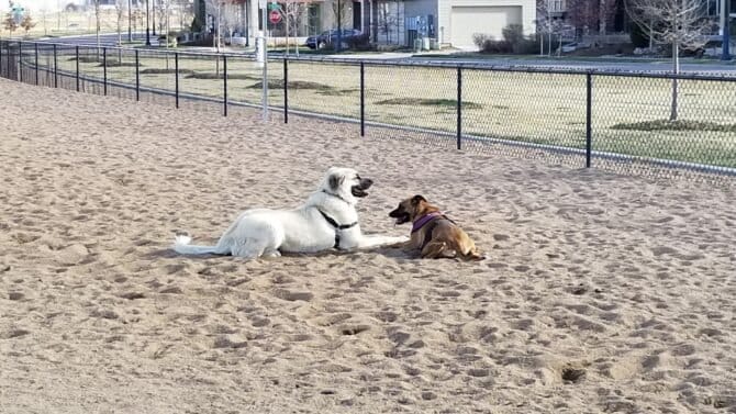 AC9h4npreYHvrmUUJE1ikABz27 7BBt3CKOm3o VnlPAMi1e vxYMeCbGIuxBfOlAfH2B4BqMamCOx5ZZYOkl1NnPXDRMDalOOMa4NV ViDK gf32t5 7yMdYLGvpYurqrvXYRB583Mtw1600 h1000 k no