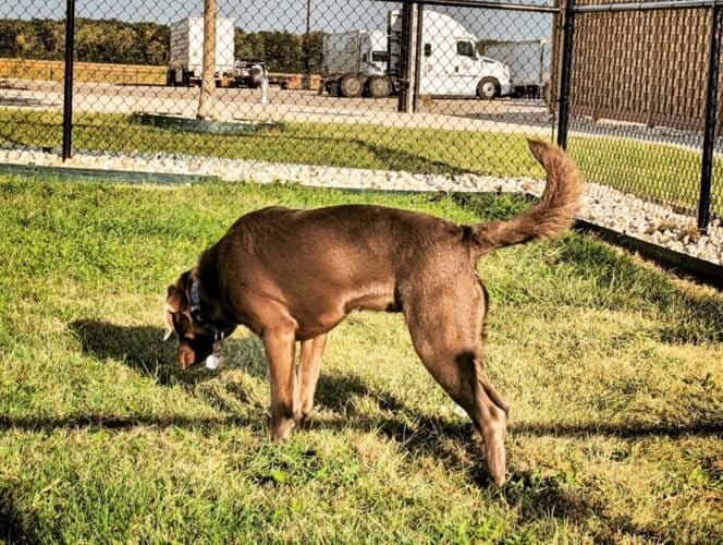 AC9h4nprw6yYLgpumLXqKIj u67VqYOjBm0L45Me6mRyVM ECbl OU1Q7DD dh0sbPcZ6TmHgc8QhykSWWwrNHXZ 2UbcUyyk1JmLK9QPpvusIt5PLJDXfsoWdtkMI8FHCnyuLTdZ3hxYAw1600 h1000 k no