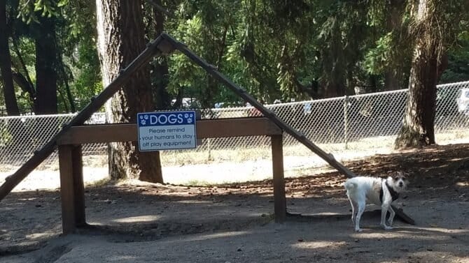 AC9h4nps6VnEiFUiKpsAMhIPr9unF0n4WdaP2UZn26J0rQHLhm7IsXllAHu56 VX5nXawKfDpHaUgkkJgcH2XWQFHAL2yPxJrELGfM2iYFDebeQ2yUL5sNoH3OrdqVkXfW1ml9 z8uN0w1600 h1000 k no