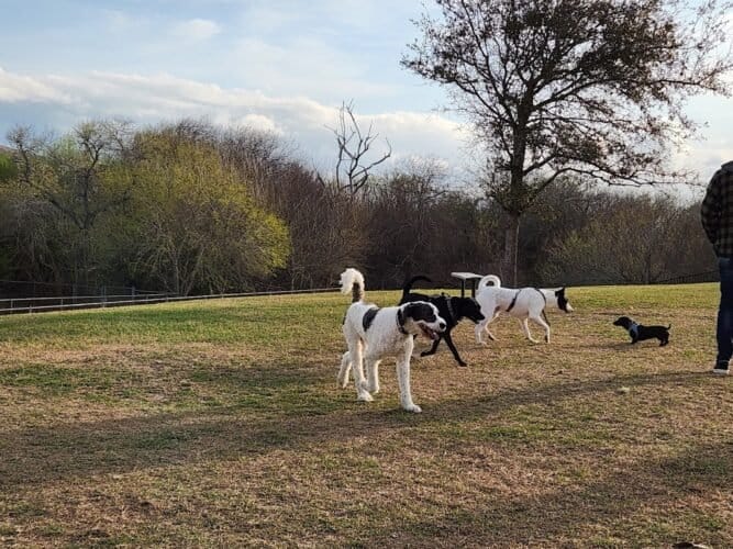 AC9h4npsFe2bVITA6NVdNFSRZCMndejeYynBEmVgJOnocB5buxp 9dXoX7SLkZ0jqb LlLcUtoiZQqEZyPcgFFV7jeeicdQW5JAVoM1JRAjXIiedGvWw HCtA0iosuQhrns4 Emnfqd8eUW6pLlWw1600 h1000 k no