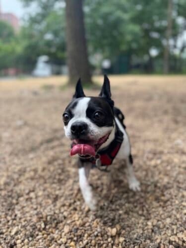 AC9h4npsKC3s7vy8mJ  pPKaB t sr 6DpcqGFuu88bUayT6D Z616H frD0ZYiQYEBKWUFOTofD4cX SXue29Y2NQKU dO8eop Kv7XYZodXLEoiPR mbVxew9ard23IAWwIQn7pJz0YcGIfPO0w1600 h1000 k no