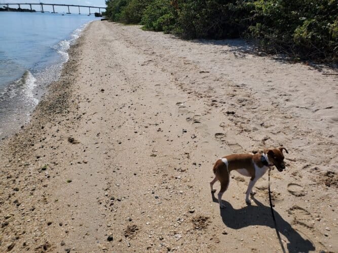 AC9h4npsNHso5jHb4TfVoK hT tNr0ac7KDMYKCd0uRf333RB4AsyvUhZKU1fFOURBmsioaIMGf3 LKCgb EfjkuHy6WL7qiJfCfxXjvcC630a5kMPeSvA uTCvIlRUAsRt5P1SzTKxHw1600 h1000 k no