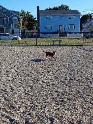 AC9h4npsjvBaQEfYTsVf3BDLXBiR0A1Upnv6gJOEN5uug0sU0cNZ8OQ83wh78pivpkAyP3xv4sORK8ispptj4sBcWEci69DKiP 5zQjAmmVY54aYmG24YTPCBuUaB C4BbluS3mHrjQWZQw1600 h1000 k no