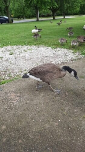 AC9h4npsq5QN ggWHprrmzvX4vrpdEJ2g WQ DKgK6A8ubEywRhqm2yUNiIuUBlol85ZGNBNjTO84bDL2eKtqRs8l5pP4ArBrQC4 oslDmYnwghIr6mog EPUcRWbbaXPQSkFu10q3EvPgw1600 h1000 k no