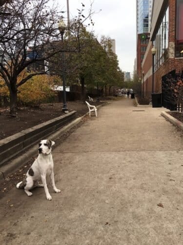 AC9h4npsvQP5tClmbwwSiYooAwDInAz0ah7243xeFKwtaiDc lQXAbKR9kC7jmvz0qaXGVjw6UBA6kDfY2AONhh SJC3QlJOxXXbR4w2Gyn8BtvQTDB9DrN99jZqZoT3wABBZ3jku8Psw1600 h1000 k no