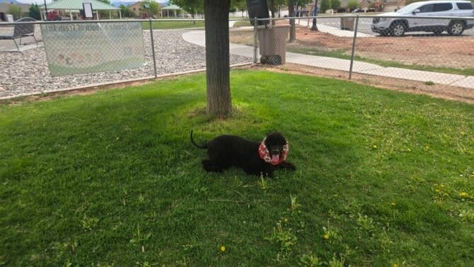 AC9h4npt1rssD2o0qH89qxgw9TZRh avWL4WGKc Ex86zEJZIqCRZO5FAqauuJWLWFoE2 9ikCrbJPEd7pfyOxvKH y3qGjyhSMKaCmyqyCAy47UeO FAD5KYjepdsDgcMB8OGy214bnw1600 h1000 k no