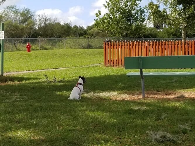 AC9h4npt5O6fLSlpQo SL 0JitGOvmZ9qUQI ZQpx7AOymLpvmGAaTwSyQjj60WN3 iPISnTJPmdrlXiGOCV45vdawg C2z4wkU5rIA 28qbXJ4YEM8DLx6zpzFf3acFL i9M8ZwFrDKw1600 h1000 k no