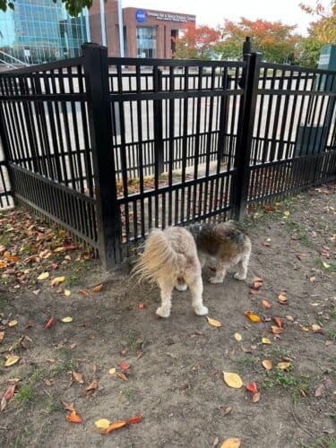 AC9h4nptEy2TKcAKTtGj5bhrmpaP mxvQJa1ikN2YvtTsRZcrml4EHS5QPbhcl5p32qbZ26n4eGKWfjTlWUGKhQENxgksBFoB5lGPAm4Bg6kxHUEmT9p t6MyxtNZ8JBMSaoXOwGWYENw1600 h1000 k no