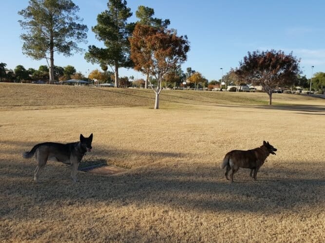 AC9h4nptN2mB Nrp2aKyxkZiR6 2t6VMRuso5p8oCxeNWu0UgeakwZ rLUYGWuZK32KDqEXq oAxH929LK TMFLNYoWlmhQMJQ8OI45qyL5rHHfLSs28BJKKmjwfa7EznvSrBqR0tBmQw1600 h1000 k no