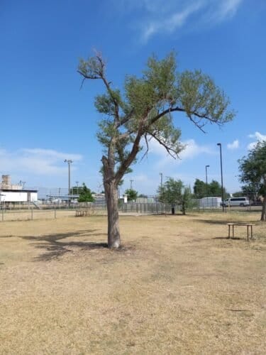 AC9h4nptNnHkpy20fhEtdKLQaKm1NBzibwZasyRhtAN0WbvalQZNRlPqxNT6Od2t1KOwRrMq8FloloJwOsxC9aLeHZ3xFzK0bjdXZIwl5FfnYchSq27P49oPfz2wZbEtkD7crKQKQ2kw1600 h1000 k no